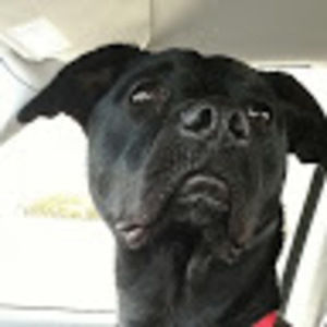 Meet your Posher, Cindy